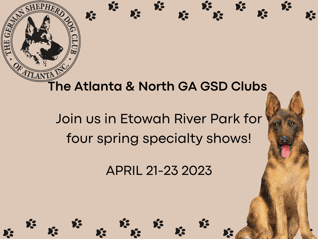 north ga gsd clubs